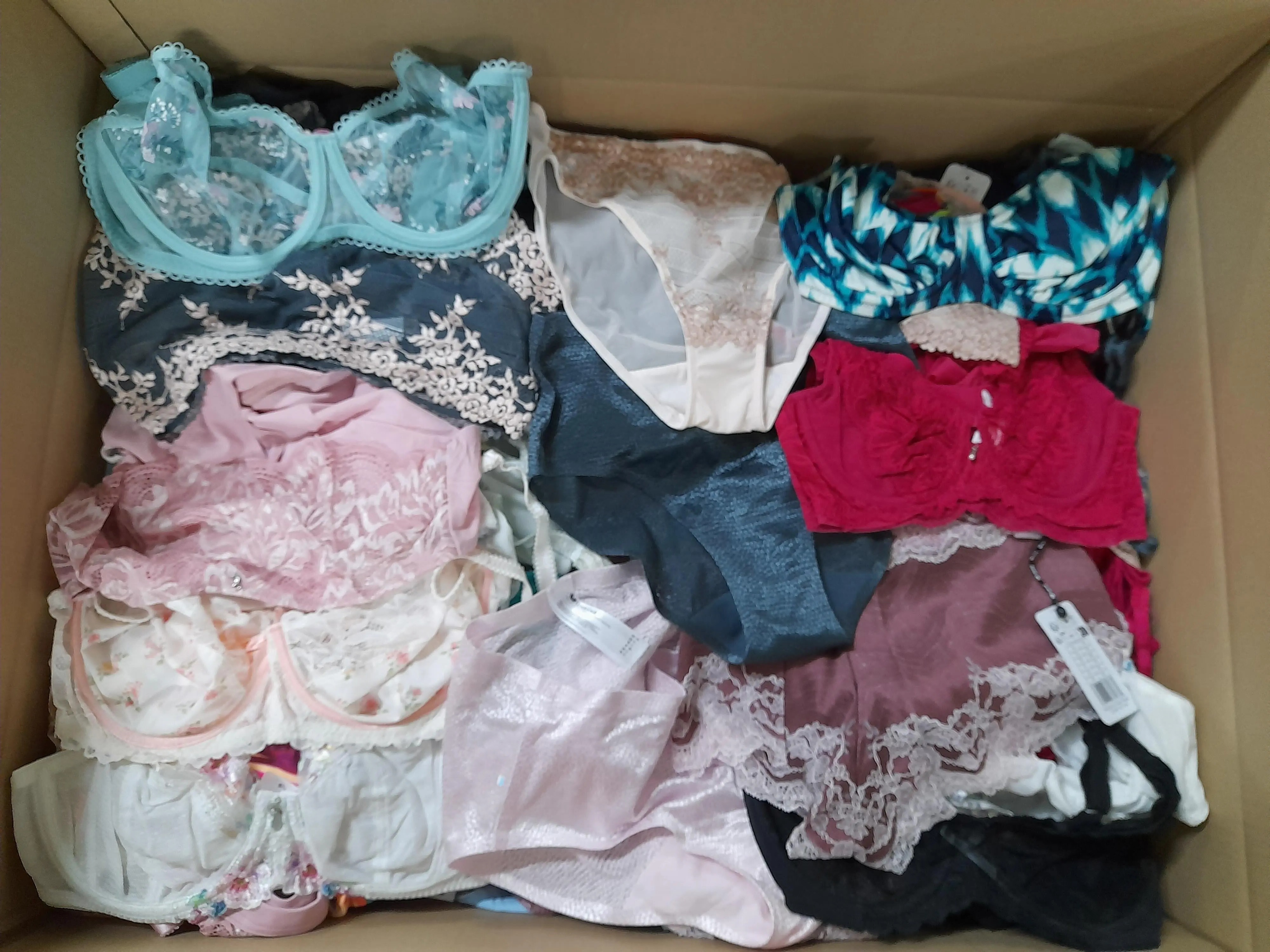 186x Ladies Undergarments