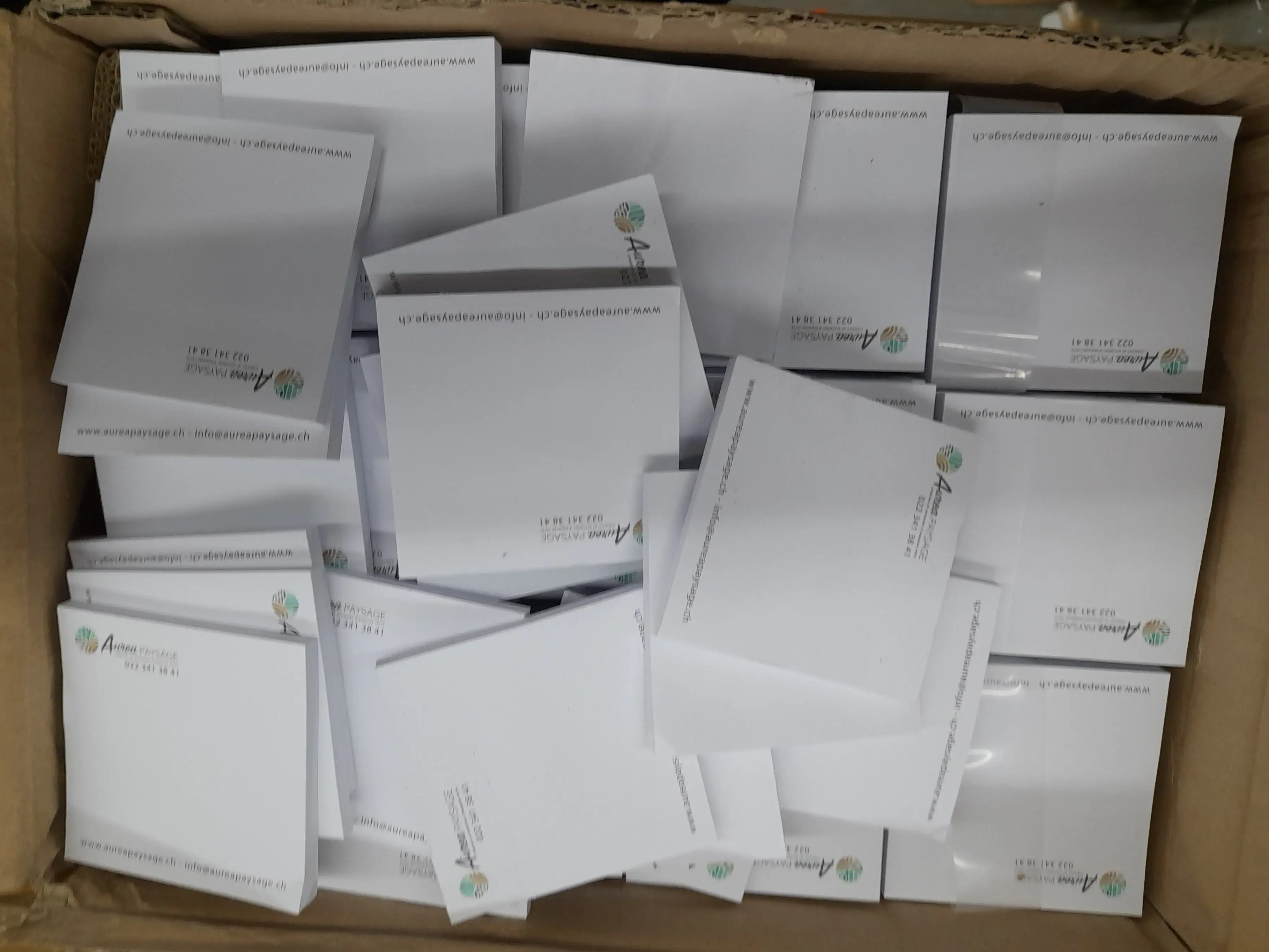 500x Aurea Paysage Notepads