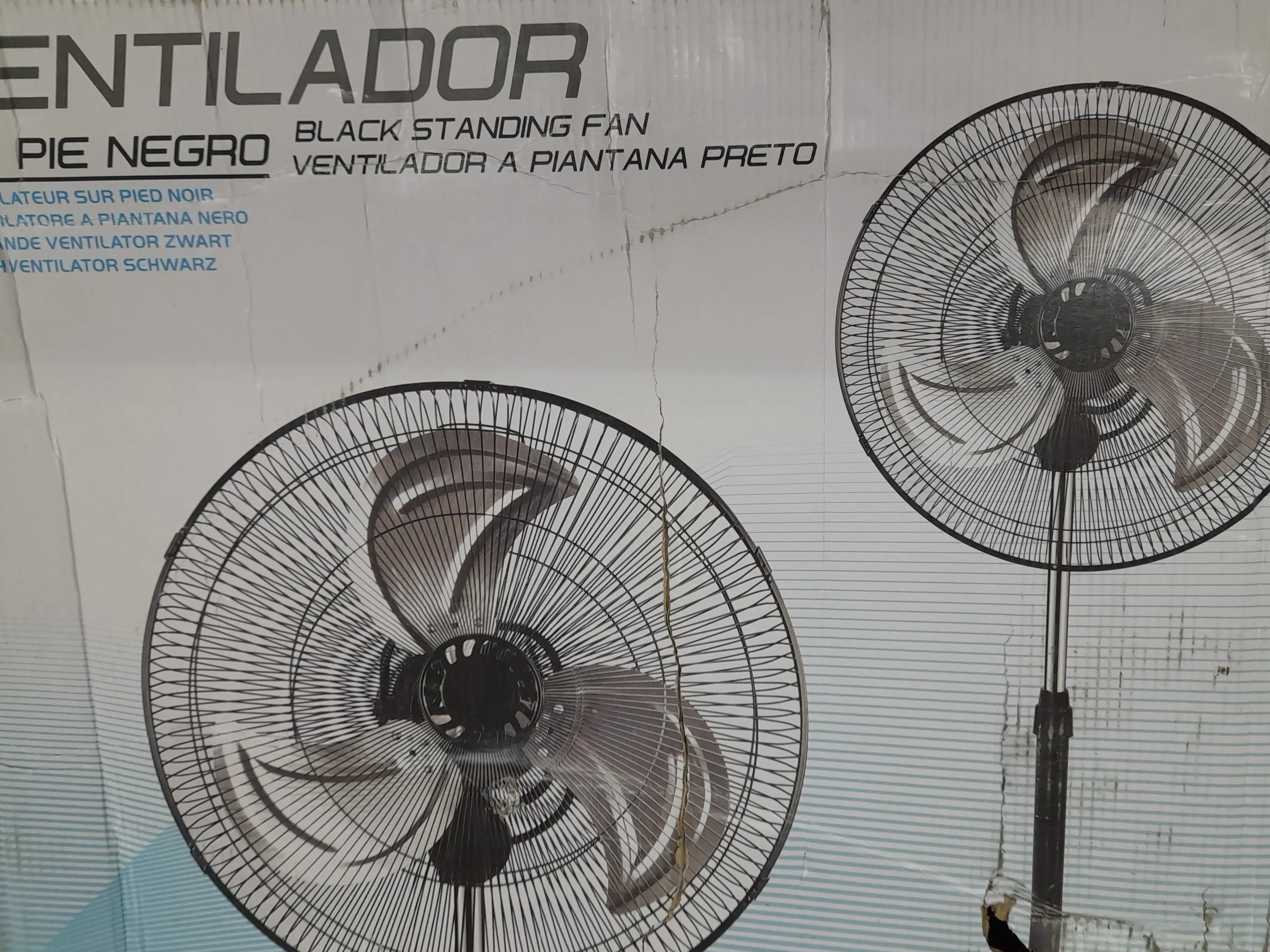 Standing Fan