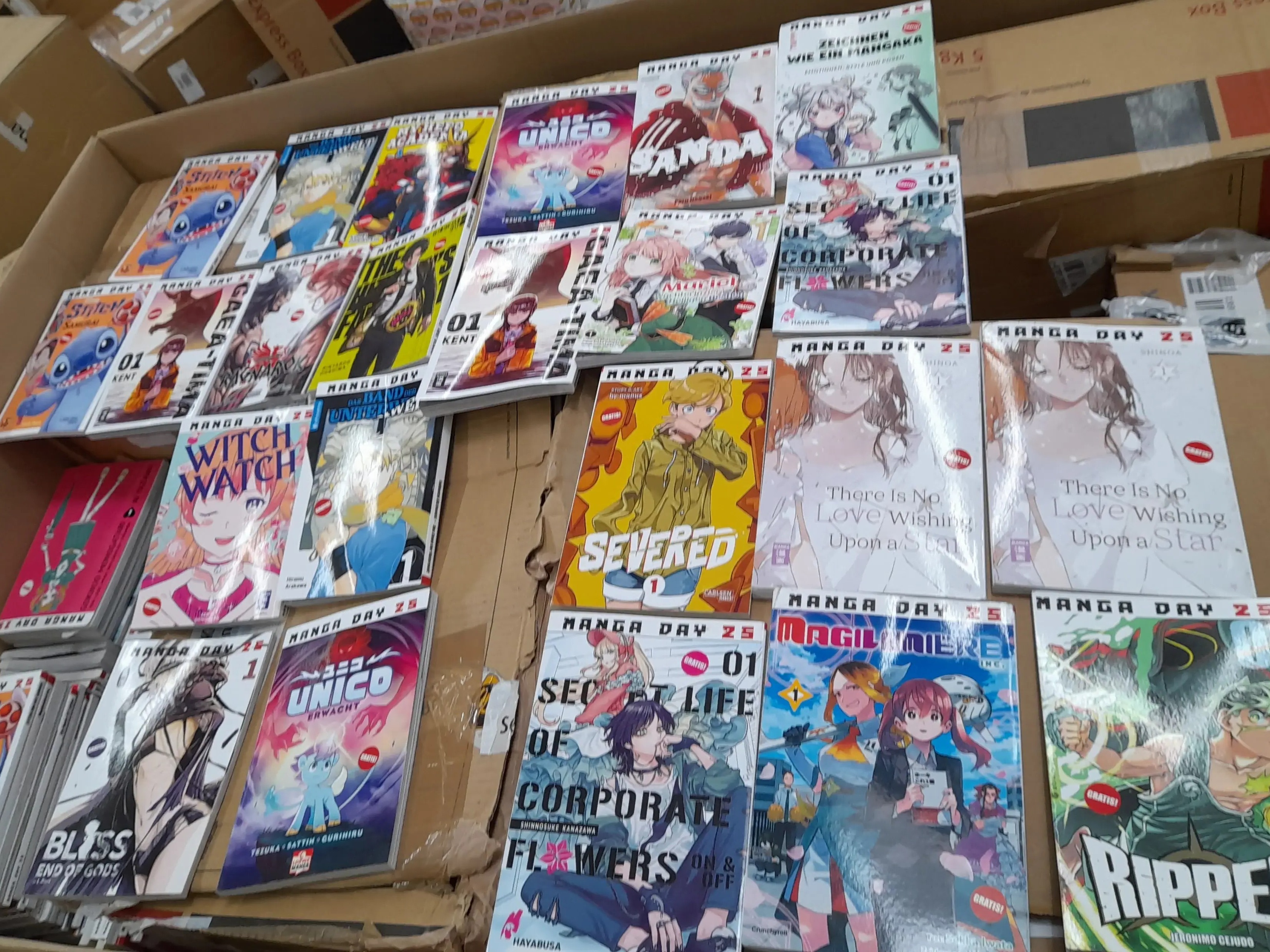 Manga & Comic Books