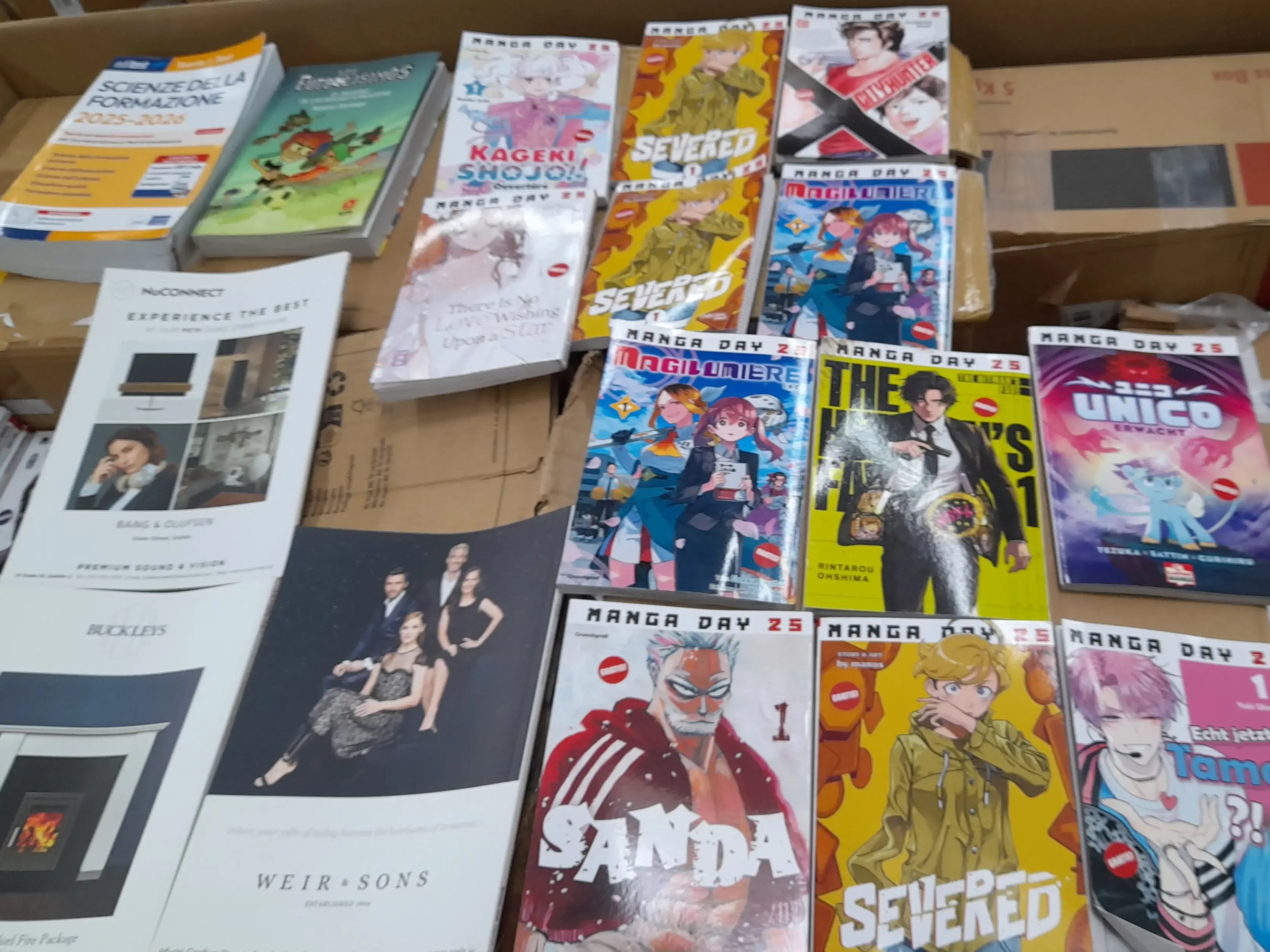 Manga Books and more