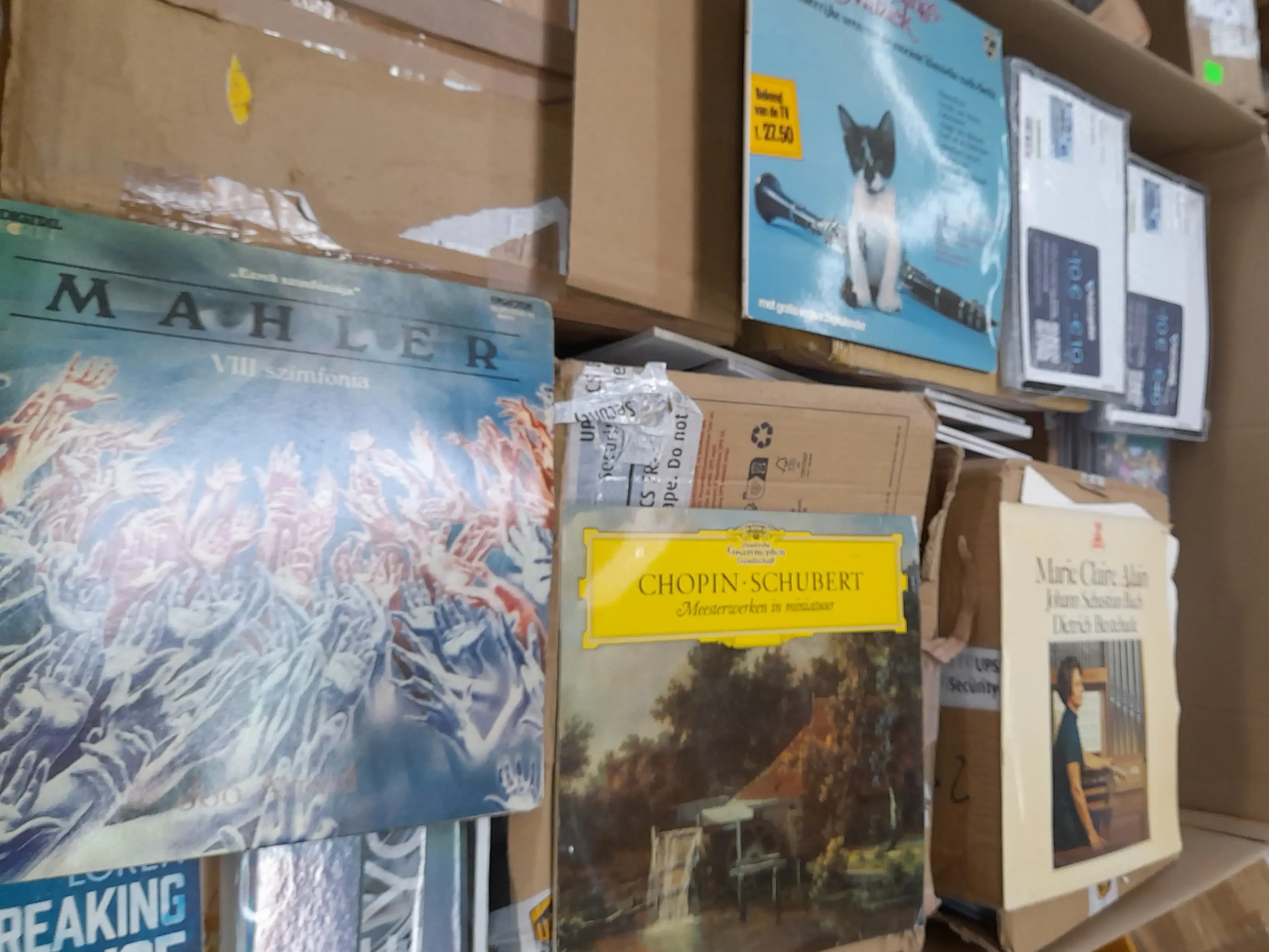 Different Books & Magazines