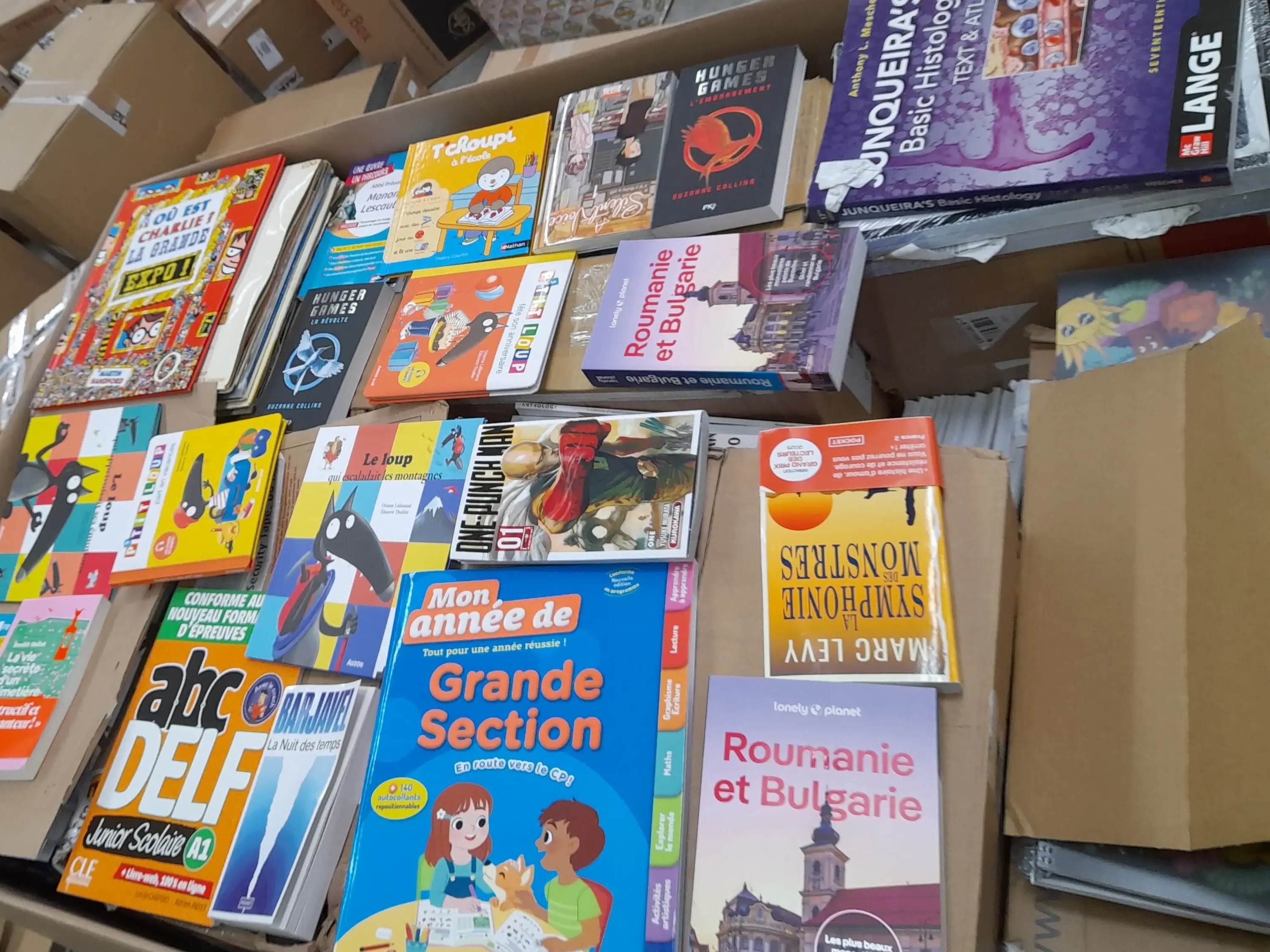 20x Different Books and more