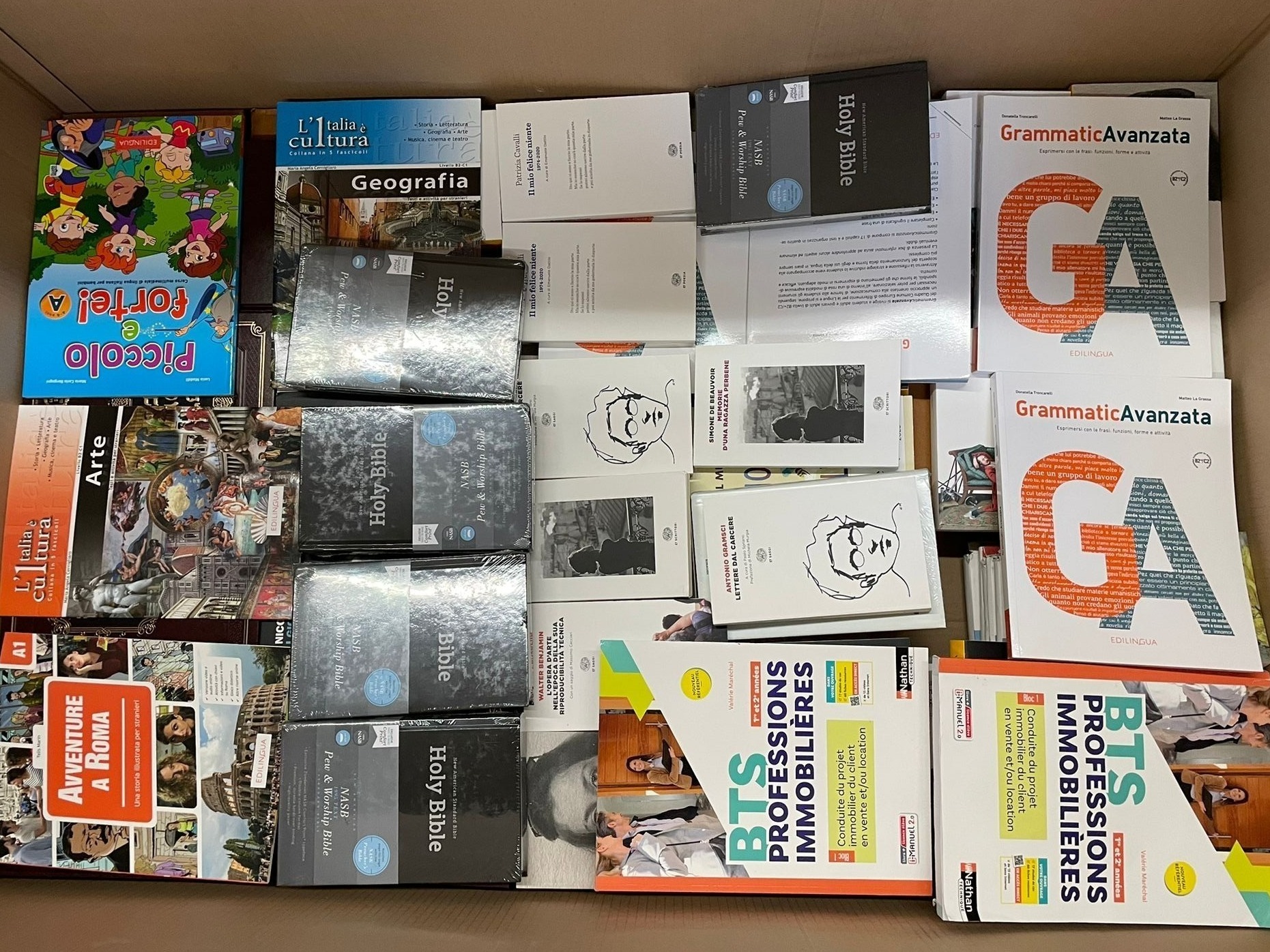 Heilige Bibeln, Grammatica Avanzata Bücher, BTS Professions Immobilières Bücher, Geografia Buch, Piccolo è Forte! Buch, Arte Buch, Avventure a Roma Buch und mehr